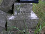 image of grave number 147164